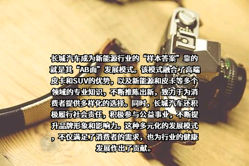 长城汽车股份有限公司