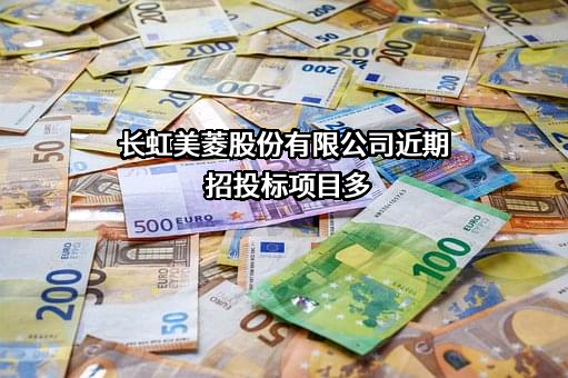 长虹美菱股份有限公司