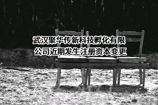 武汉聚华传新科技孵化有限公司