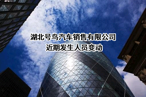 湖北号鸟汽车销售有限公司