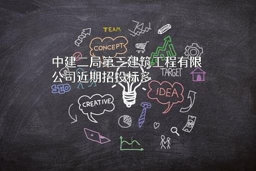 中建二局第三建筑工程有限公司