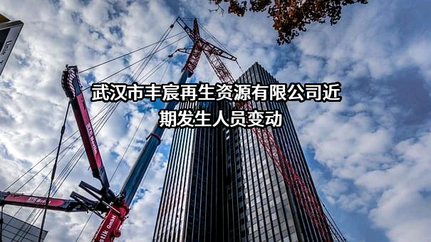 武汉市丰宸再生资源有限公司
