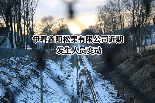 伊春鑫阳松果有限公司