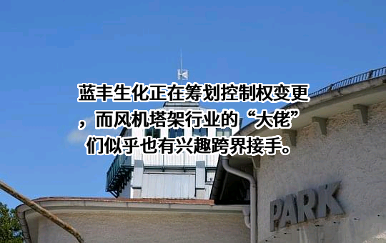 海南锦穗国际控股有限公司