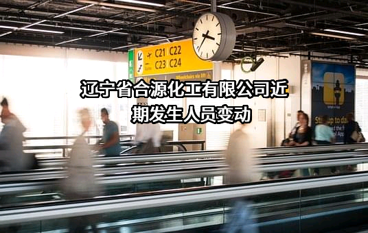辽宁省合源化工有限公司