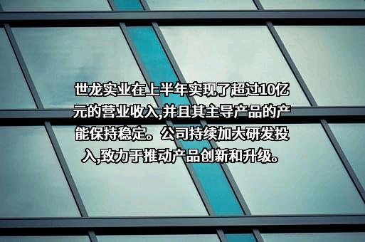 江西世龙实业股份有限公司