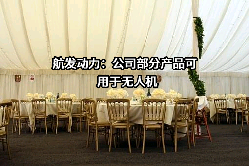 中国航发动力股份有限公司