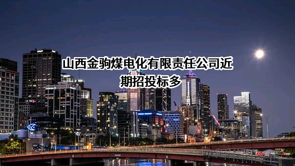 山西金驹煤电化有限责任公司近期招投标项目多