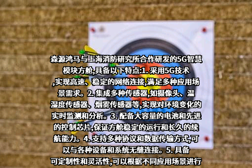 河南森源鸿马电动汽车有限公司