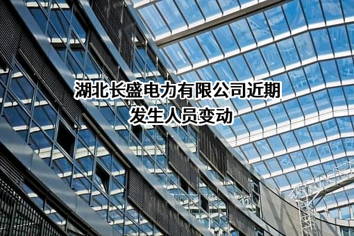 湖北长盛电力有限公司