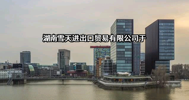 湖南雪天进出口贸易有限公司