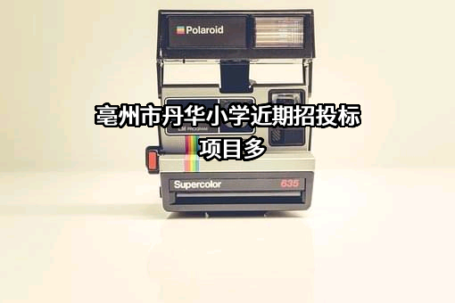 亳州市丹华小学