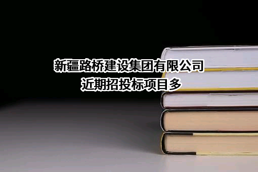 新疆路桥建设集团有限公司