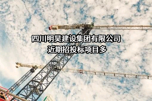 四川明昊建设集团有限公司