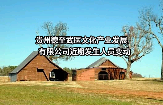 贵州德至武医文化产业发展有限公司