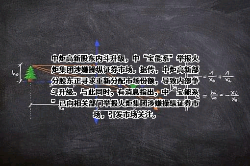 中山火炬集团有限公司