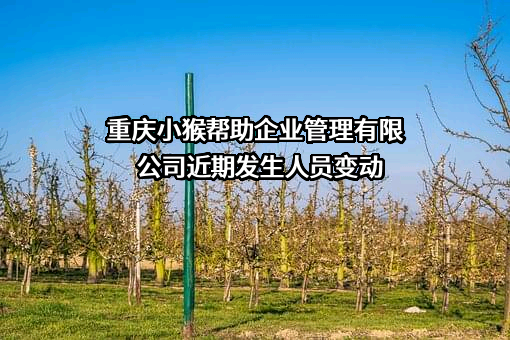 重庆小猴帮助企业管理有限公司