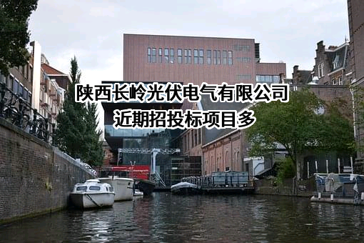 陕西长岭光伏电气有限公司近期招投标项目多