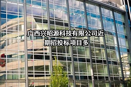 广西兴昭源科技有限公司