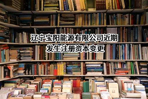 辽宁宝阳能源有限公司