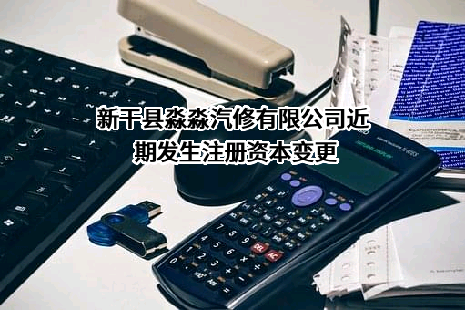 新干县淼淼汽修有限公司