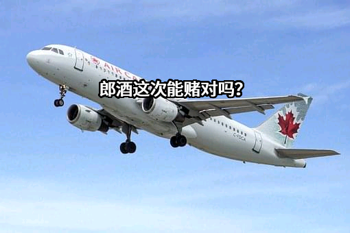 四川郎酒股份有限公司