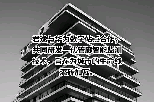 华为技术有限公司