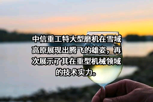 中信重工机械有限责任公司