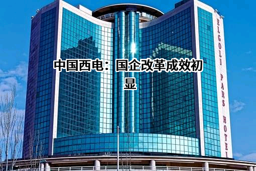 中国西电电气股份有限公司