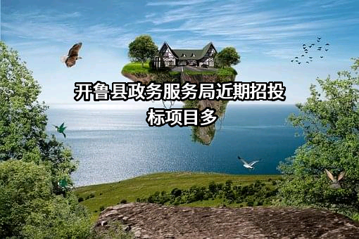 开鲁县政务服务局近期招投标项目多
