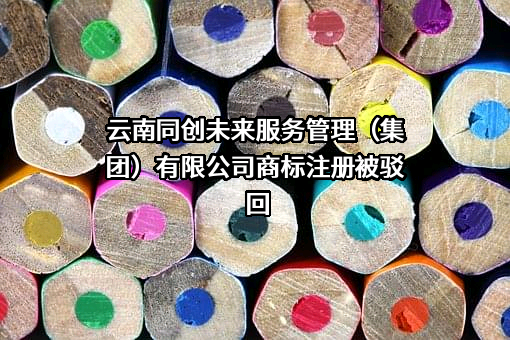 云南同创未来服务管理（集团）有限公司商标注册被驳回