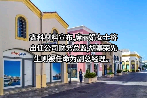 安徽鑫科新材料股份有限公司