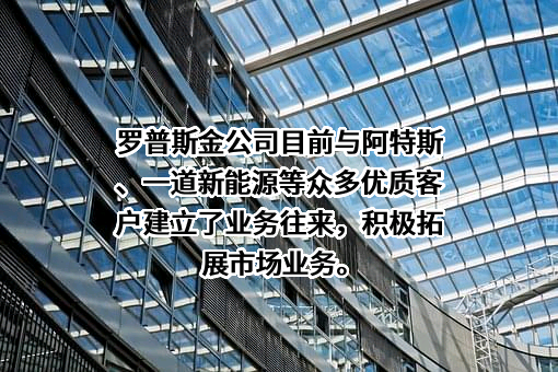 中亿丰罗普斯金材料科技股份有限公司