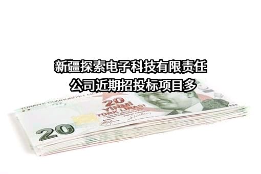 新疆探索电子科技有限责任公司
