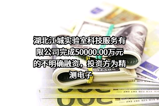 湖北江城实验室科技服务有限公司完成50000.00万元的不明确融资，投资方为精测电子