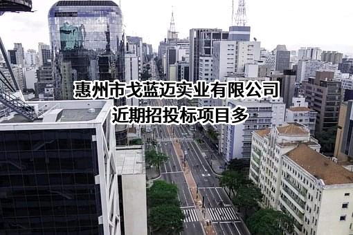 惠州市戈蓝迈实业有限公司