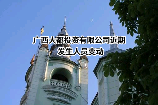 广西大都投资有限公司