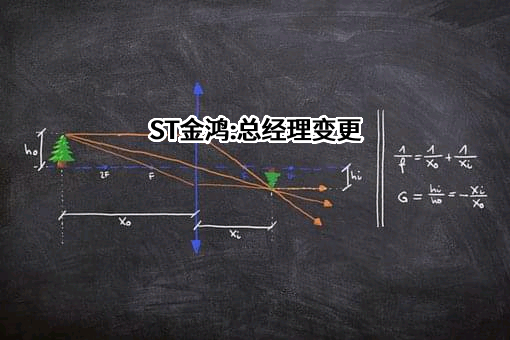 金鸿控股集团股份有限公司