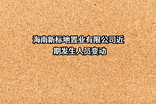 海南新标地置业有限公司