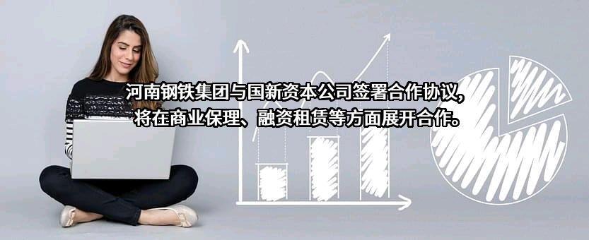 河南钢铁控股集团有限公司