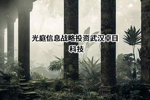 武汉光庭信息技术股份有限公司