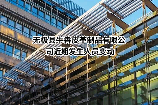 无极县牛犇皮革制品有限公司