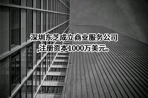 东芝（中国）有限公司