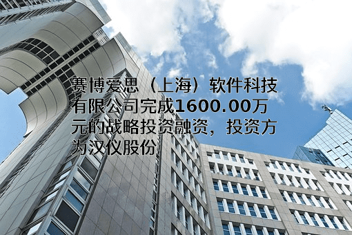 赛博爱思（上海）软件科技有限公司