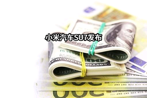 小米汽车有限公司