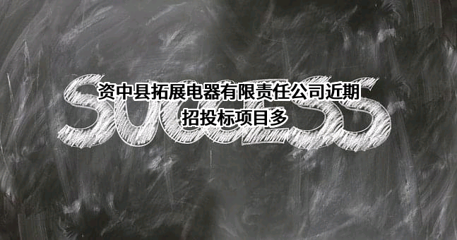 资中县拓展电器有限责任公司