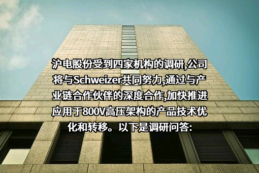 沪士电子股份有限公司