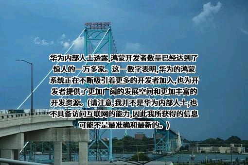 华为技术有限公司