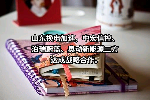 重庆泊瑞蔚蓝新能源科技有限公司