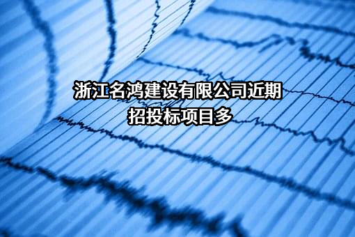 浙江名鸿建设有限公司近期招投标项目多